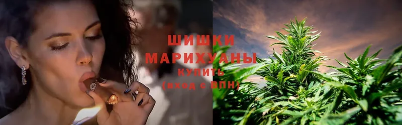 Канабис SATIVA & INDICA  как найти закладки  Балей 